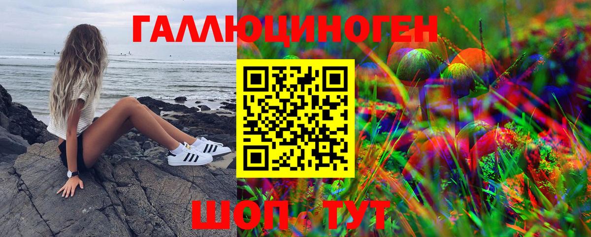 Зима  Галлюциногенные грибы MAGIC MUSHROOMS  Вход с VPN 
