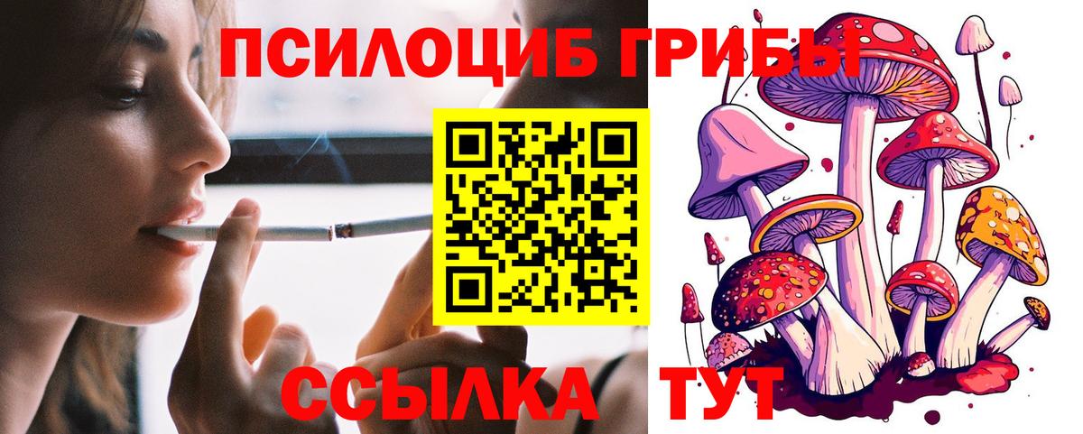 Галлюциногенные грибы Psilocybine cubensis Зима