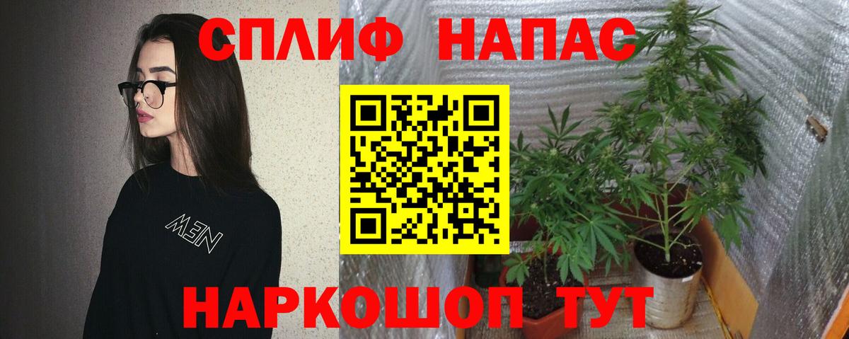 Бошки марихуана конопля Зима
